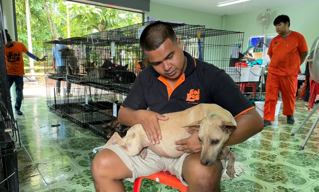 Soi Dog Foundation Launches Mobile Clinic in Surat Thani