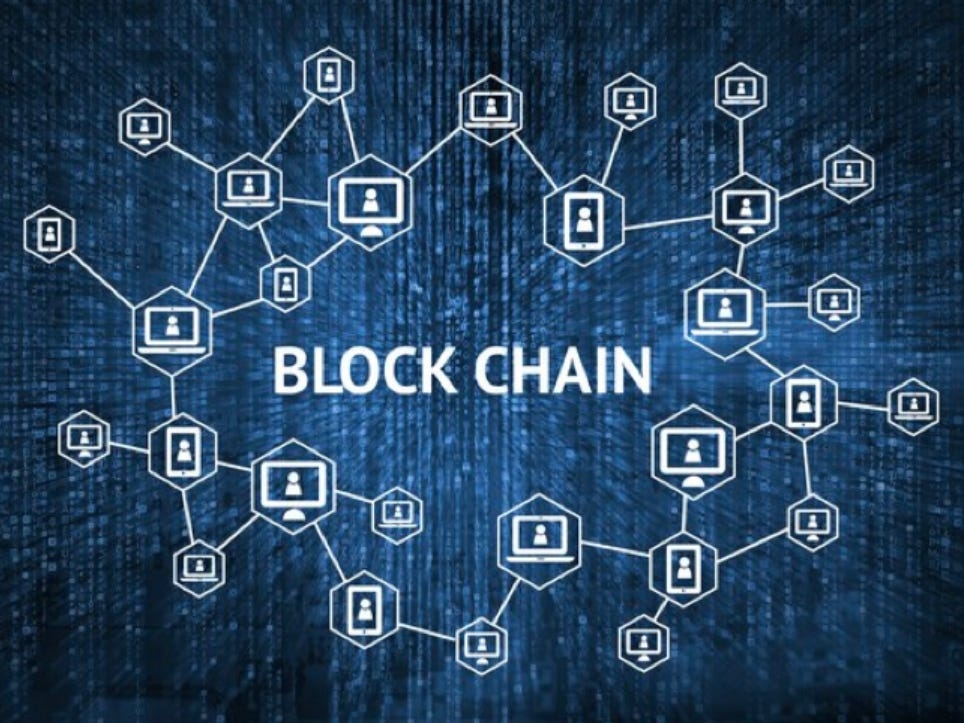 Options of Blockchain Networks