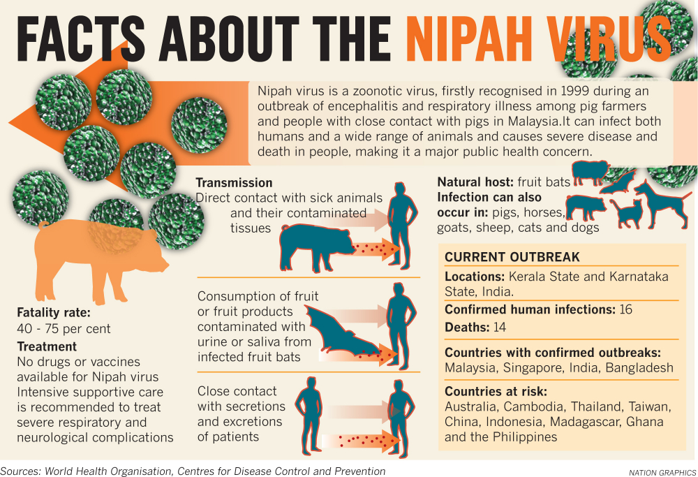 Nipah Virus malaysia