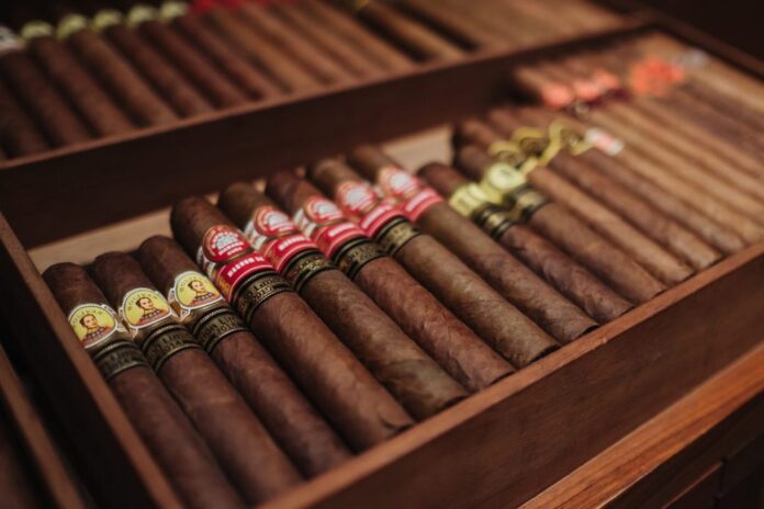 Mastering the Cigar Global: Crucial Pointers for Correct Cigar Support