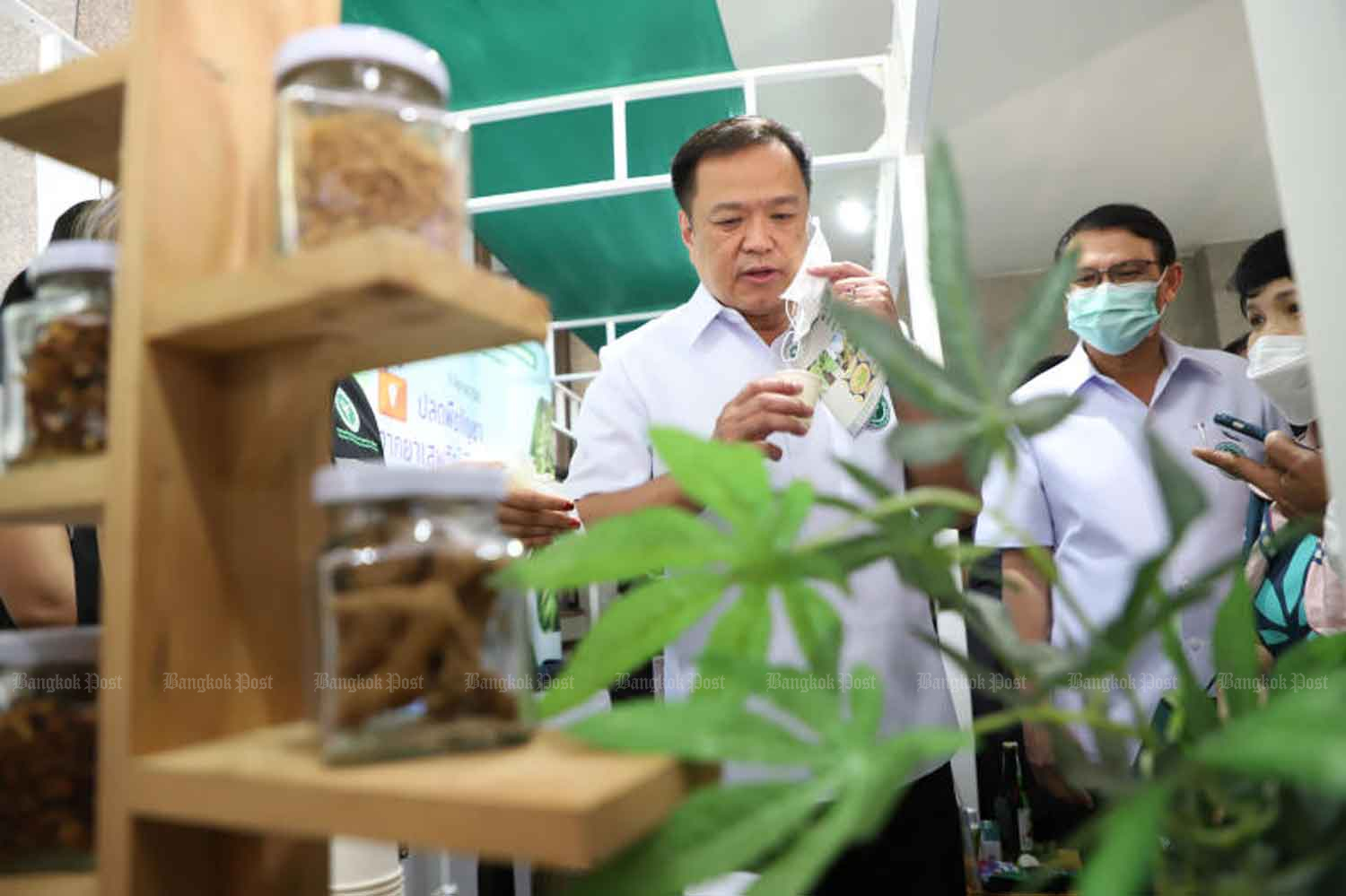 Thailand’s Family Fitness Minister Introduces Committee to Keep an eye on Hashish